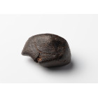 Meteorit ( Chondrit ) 105,9 g